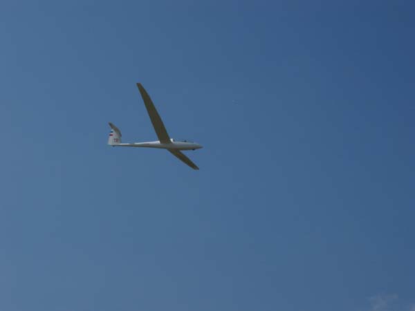 IMG_0051