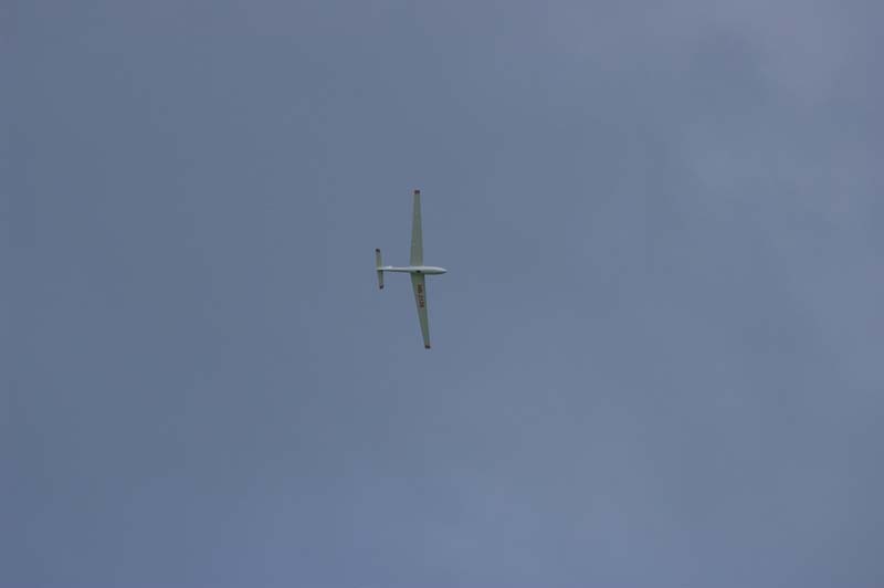 SG1S2142