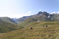 IMG_6214_DxO