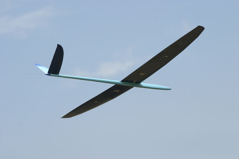 EPV0336