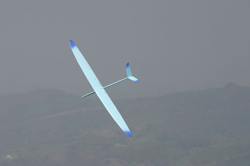 EPV0338