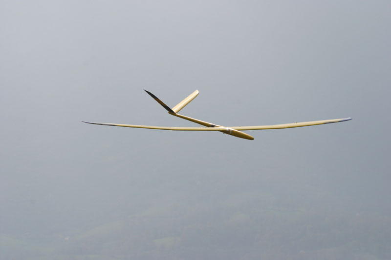 EPV0373