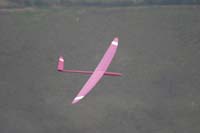 EPV0149