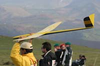 EPV0254