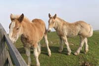 IMG_3612_DxO