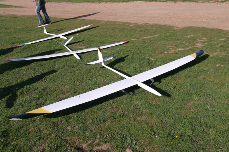 EPV0037