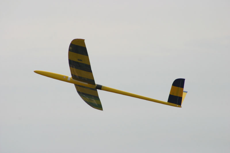 EPV0075