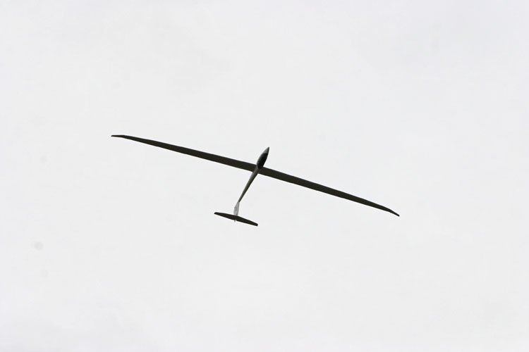 IMG_8451_DxO
