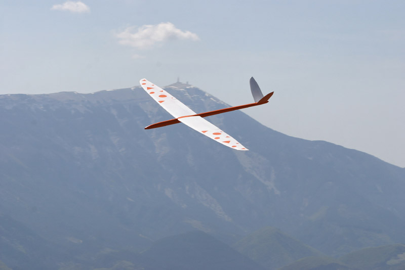 Martinet_015