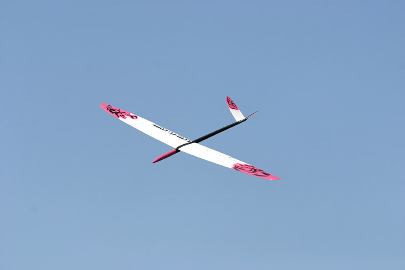 martinet_0071
