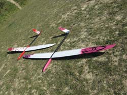 martinet_0010