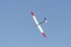 martinet_0058