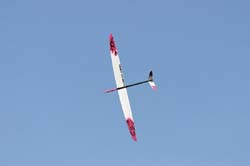 martinet_0065