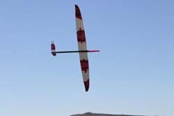 martinet_0067