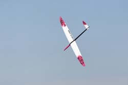 martinet_0074