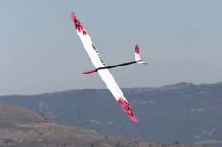 martinet_0075