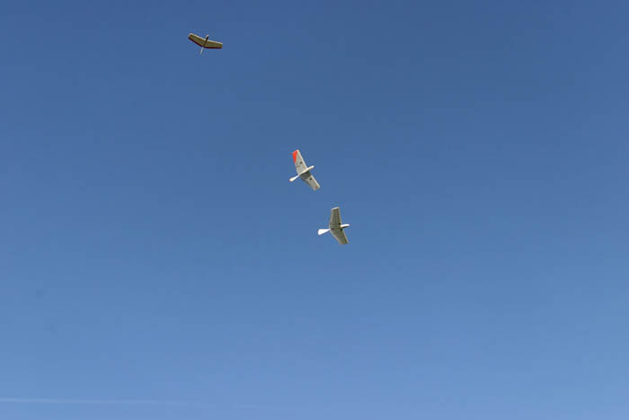 IMG_5356_DxO