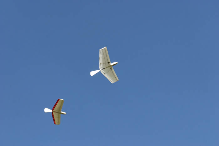 IMG_5362_DxO