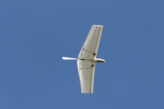 IMG_5363_DxO
