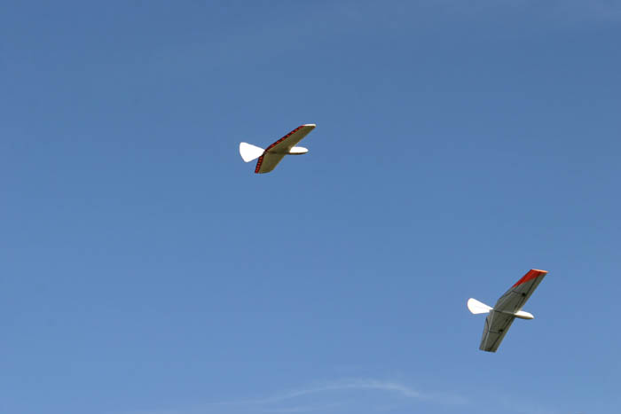IMG_5369_DxO