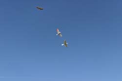 IMG_5356_DxO