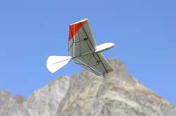 IMG_5396_DxO