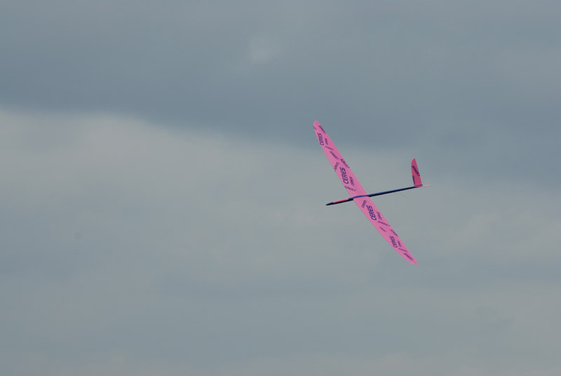 DSC_0339