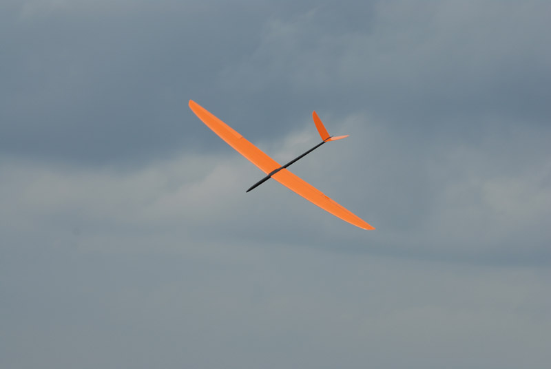 DSC_0341