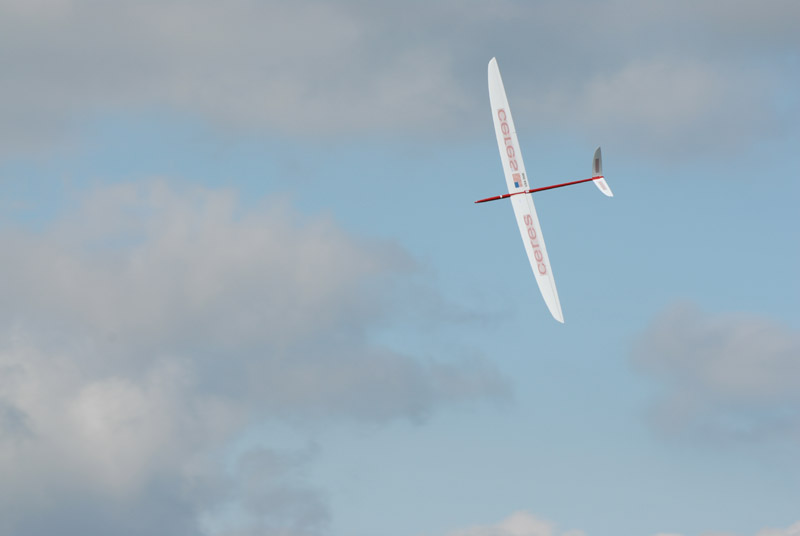 DSC_0381
