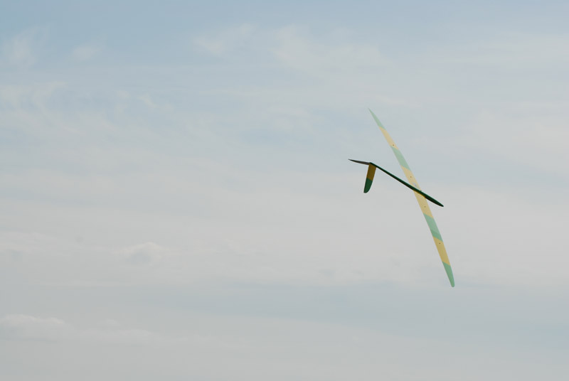 DSC_0568