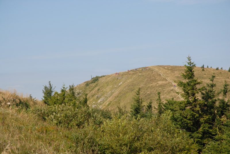 DSC_0602