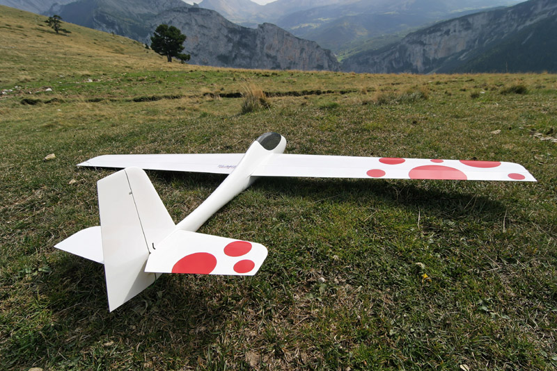 Wasabi_Flying_010