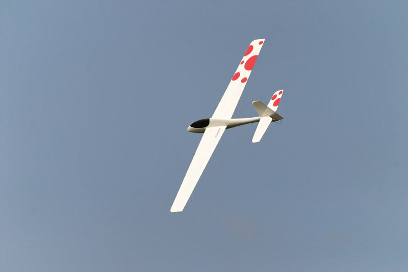 Wasabi_Flying_018