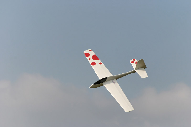 Wasabi_Flying_019