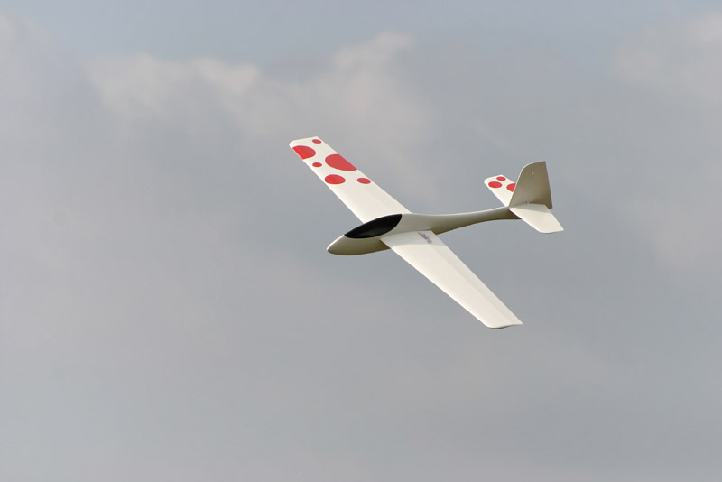 Wasabi_Flying_020