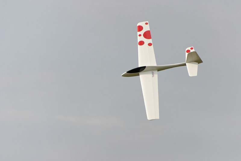 Wasabi_Flying_024