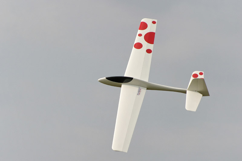 Wasabi_Flying_025