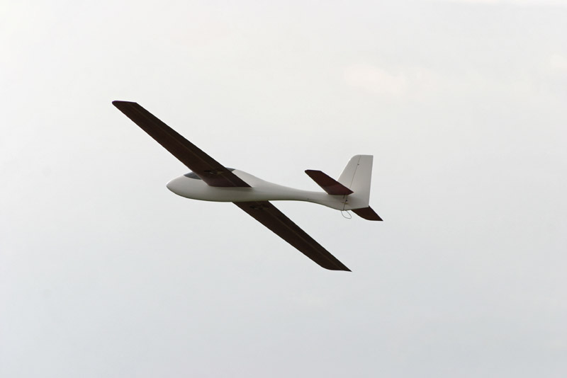 Wasabi_Flying_030