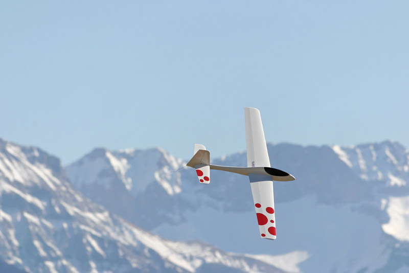 Wasabi_Flying_035