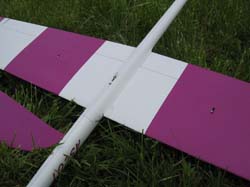 Ascot_0001
