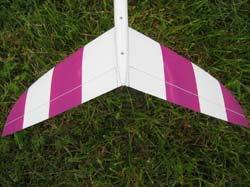 Ascot_0002