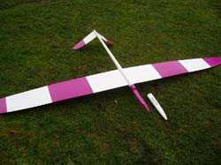 Ascot_0012
