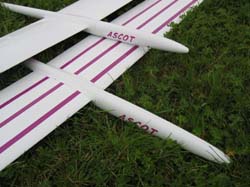 Ascot_0015
