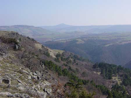 vue