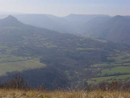 vue