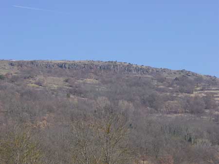 vue