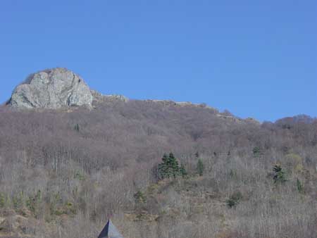 vue
