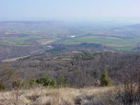 vue