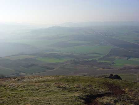 vue