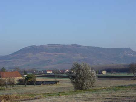 vue